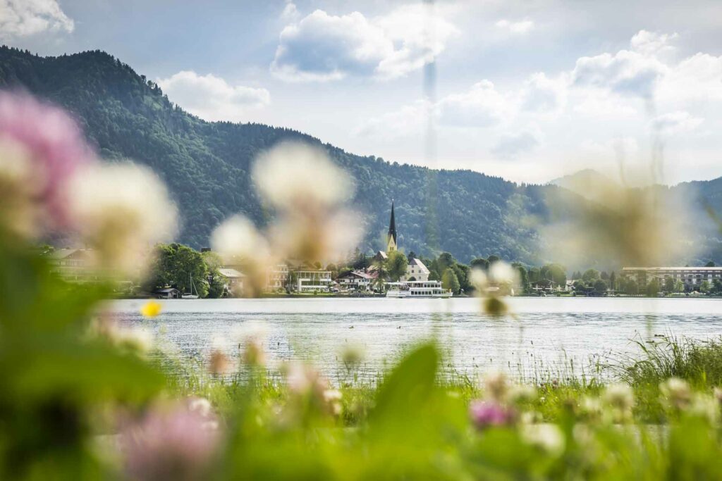 Germany, Tegernsee, Rottach-Egern, view through a flower field across the lake to Rottach-Egern, in the background mountains, Europe, 7.06.2015 Engl.: Europe, Germany, Lake Tegernsee, Rottach-Egern, view through a flower field across the lake to Rottach-Egern, in the background mountains, leisure, travel, Alps, German Alps, Bavaria, Summer, Bavarian lakes, 7.June.2015